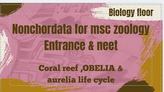 Coral reef life cycle of obelia life cycle of Aurelia for msc zoology entrance [upl. by Herrle]