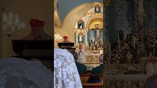 Cdl Burke homily at ICKSP  3 [upl. by Adnim]