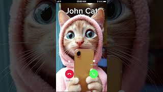 CAT IS CALLING TO YOU 😂 cat [upl. by Lorrie]