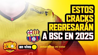 🔴 ENVIVO 🟡⚫ ESTOS CRACKS REGRESARÁN A BSC EN 2025 ⚫🟡 [upl. by Castle780]