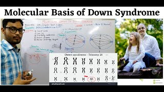 Molecular Basis of Down Syndrome [upl. by Adamec915]