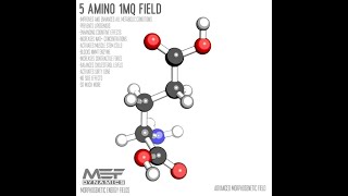 5 Amino 1MQ  Patreon Morphic Field Patreon [upl. by Nylodnew760]