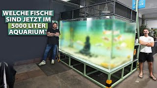 Das INTERZOAQUARIUM Welche FISCHE sind jetzt im 5000 LITER Becken [upl. by Frederik]