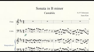 Telemann  Flute Sonata in B minor from Tafelmusik Part I No5  TWV 41h4 [upl. by Trojan]