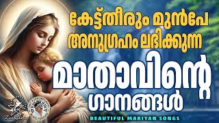 Ponnambili  Malayalam Movie Songs  No 1 Snehatheeram Banglore North 1995 [upl. by Rolph]