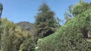 Take a tour of Stone Canyon Road in the Bel Air area of Los Angeles CA 90077 with Christophe Choo [upl. by Katsuyama471]