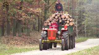 Wywóz drewna z lasu  Zetor 4011 [upl. by Odla230]