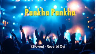 PankhaPankha Slowed  Reverb Ovi LoFi Song US Headphone 🎧🎧 [upl. by Saidnac]