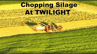 Chopping Silage at SUNSET in AMISH LAND with BEAUTIFUL BELGIAN HORSES Lancaster County Pennsylvania [upl. by Ynots]