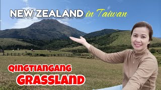 EXPLORING QINGTIANGANG GRASSLAND YANGMINGSHAN  TRAVEL GUIDE  JOHONA [upl. by Aelem]