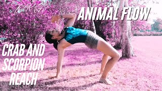 Animal Flow Workout for Beginners  Crab Reach and Scorpion Reach [upl. by Aicad]