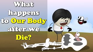 What happens to Our Body after we Die  more videos  aumsum kids science education children [upl. by Lasser899]