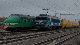 Dm90 en hondekop in Blerick [upl. by Jourdan140]