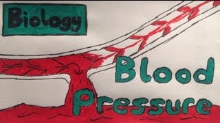 Blood Pressure Explained [upl. by Ennovoj139]