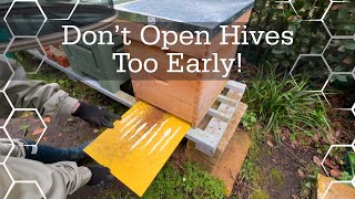 Don’t open beehives too early  Checking on food  March beekeeping [upl. by Alil]