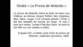 6e  Le Prince de Motordu  Les paronymes [upl. by Dacy]