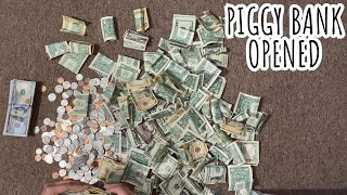 Piggy Bank Opened  August 2023  Part 1  Savings [upl. by Mcgregor811]