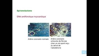 15  Pharmacologie du systeme renine angiotensine aldosterone partie 6 [upl. by Nellir500]