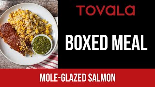 Tovala Meal  MoleGlazed Salmon [upl. by Jakoba]