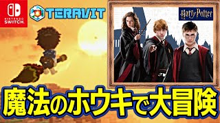 【完全無料】テラビット「ハリポタの島 魔法学校卒業」つくってみた！参加大歓迎 [upl. by Fachanan188]