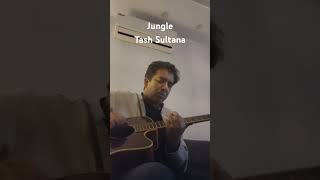 Jam on Jungle Tash Sultana unplugged [upl. by Rist]