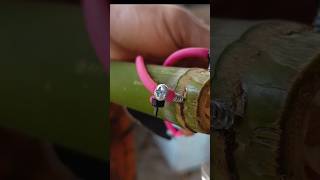 Amazing 🔥 handmade slingshot DIY hunting bamboo bamboohandcraft diy [upl. by Eirrol]