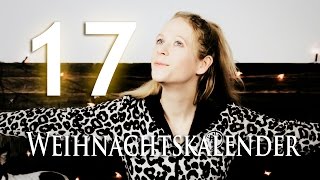 Adventskalender  17Türchen  Geschenkideen für Veganer  Vegalution [upl. by Grekin32]