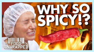 The Secret Ingredient That Makes Paprika Spicy  Food Unwrapped [upl. by Tracay245]