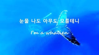 BTS 방탄소년단  Whalien 52 hangul lyrics [upl. by Kobe896]