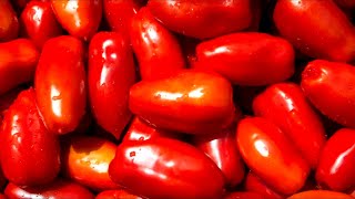 The Untold Truth Of San Marzano Tomatoes [upl. by Aicilyt]