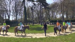 Les Dimanches au Galop  Le poney dans tous ses états  14 avril 2013 [upl. by Dorrahs57]