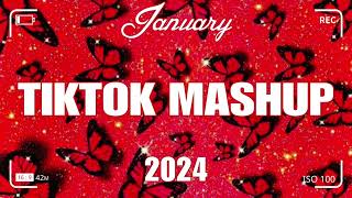 TikTok Mashup January 2024 💃💃Not Clean💃💃 [upl. by Terrye]