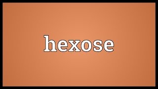 Hexose Meaning [upl. by Salguod]