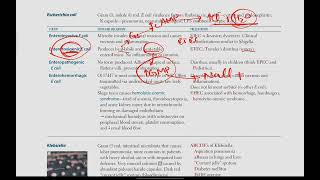 Escherichia coli  Microbiology  18  First Aid USMLE in UrduHindi [upl. by Peltier]