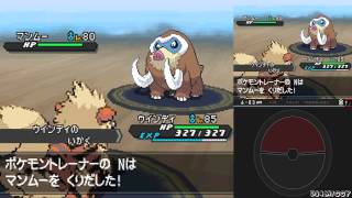 Pokémon Black 2  Ns Winter Team Challenge Mode [upl. by Burny]