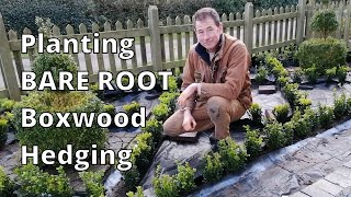 How to Plant a Boxwood Hedge Parterre [upl. by Davilman110]