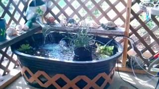 Tuff Stuff Stock Tank Cantainer Goldfish Pond Updated With Plants [upl. by Nirhtak]