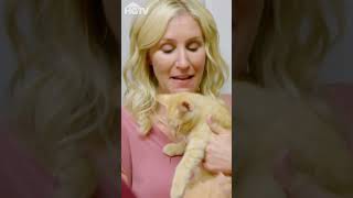 Jenny Marrs ist in Katzen verliebt  Jenny amp Dave Alte Häuser neuer Look  HGTV Deutschland [upl. by Mor]