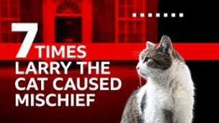 The List  7 Times Larry the Cat Caused Mischief  BBC iPlayer [upl. by Scholz]