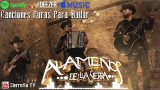 Los Alameños De La Sierra Mix 2024 Lo Más Chingon  Puros Huapangos  Puras Cumbias Para Bailar [upl. by Mic543]