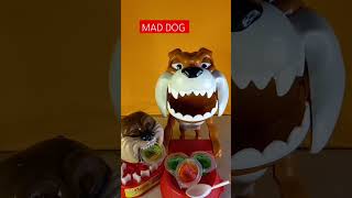 BEWARE OF MAD DOG WHILE FEEDING AND CHIWAWA BARK ANGRY ASMRshortsviral shortsvideo [upl. by Rizan]