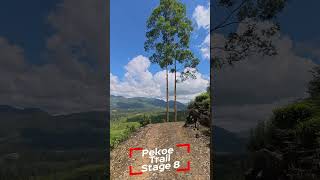 Pekoe Trail Stage 8  Norwood to Bogawantalawa  බගවන්තලාව [upl. by Neitsabes]