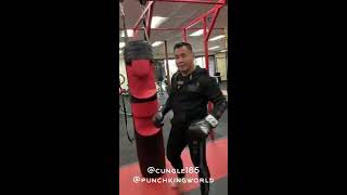 Cung Le Demos and Comments on the Punch King Punching Bag [upl. by Hausner703]