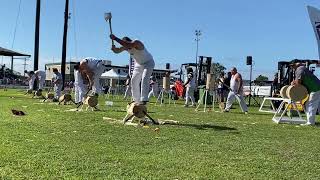 300mm underhand and standing block teams at cairns show 2024 woodchopping lumberjacks cairns [upl. by Anwahsal]