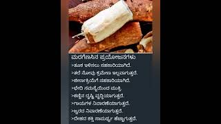 ಮರಗೆಣಸಿನ ಪ್ರಯೋಜನಗಳು health healthylifestyleeats healthydiet shorts [upl. by Uos494]