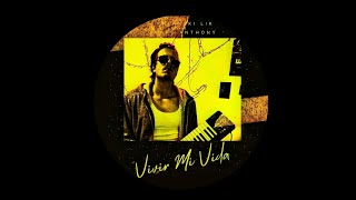 Marc Anthony  Vivir Mi Vida Kafanski Lik Remix [upl. by Lundeen]