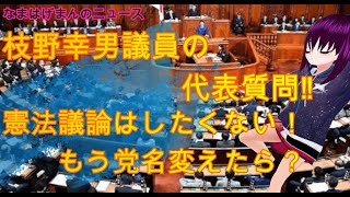 枝野幸男代表の代表質問。やっぱり憲法は議論したくない。。。もう党名変えたら？ [upl. by Oznol]