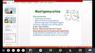 Classification of fungi  Anisworth Classification  Kingdom Fungi Classification  ABCDOPZ [upl. by Adalard]