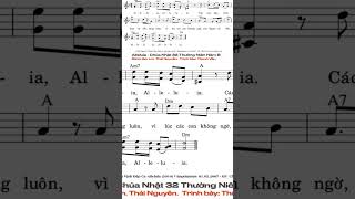 Alleluia  Chúa Nhật 32 Thường Niên Năm B  Lm Thái Nguyên  Thanh Vân dapca thanhca alleluia [upl. by Tristam]