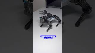 Microbit XGO Robot Kit V2 coding robots microbit [upl. by Janet112]